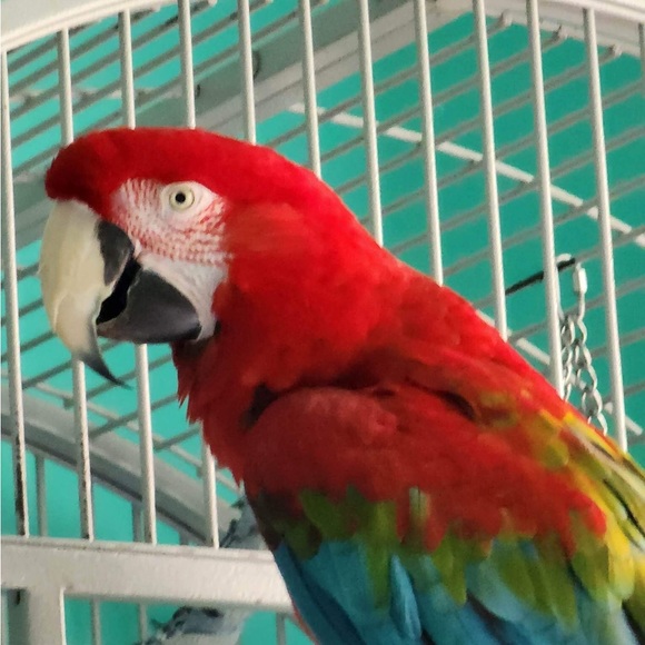 Meet your Posher, Stacey - Picture 2 of 6